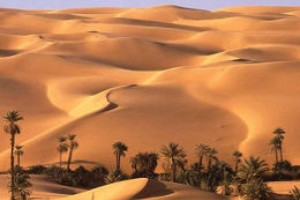 Overnight Camping Adventure on the White and Black Desert “Bahareya Oasis”