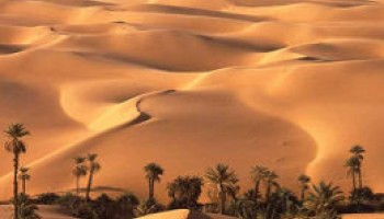 Overnight Camping Adventure on the White and Black Desert “Bahareya Oasis”