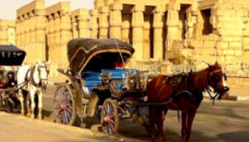 City Tour in Aswan by Horse-Drawn Carriage